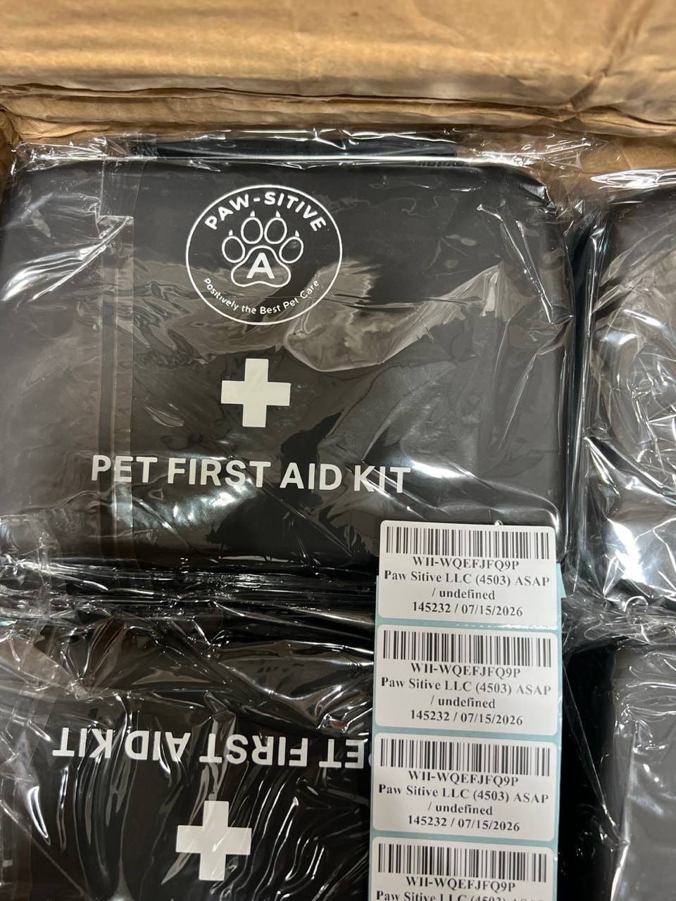 PAW-SITIVE Pet First Aid Kit for Dogs & Cats-22-Piece Emergency Care Kit / Vet-Reviewed /  Nitrile Gloves, Tick Remover, Thermometer & More